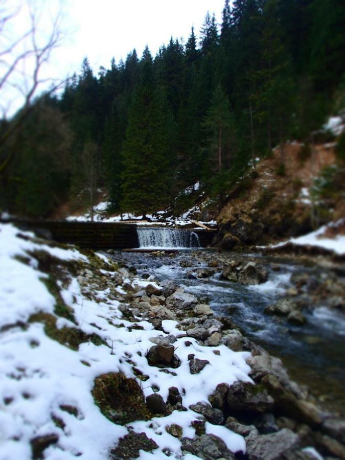 Rekreacny Dom Sablatura Villa Zuberec Exteriör bild